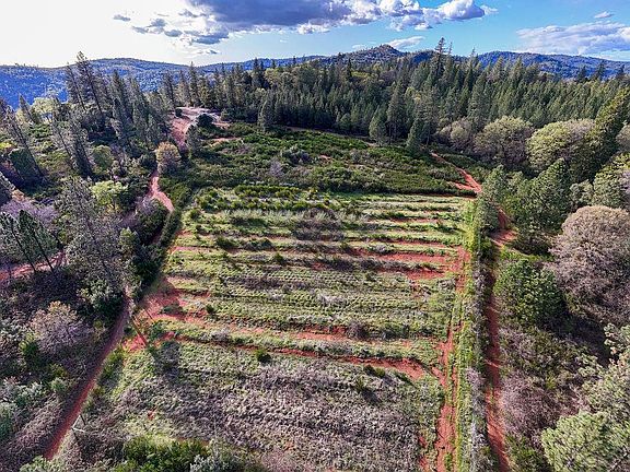 5th image of 10571 Sebastopol Rd