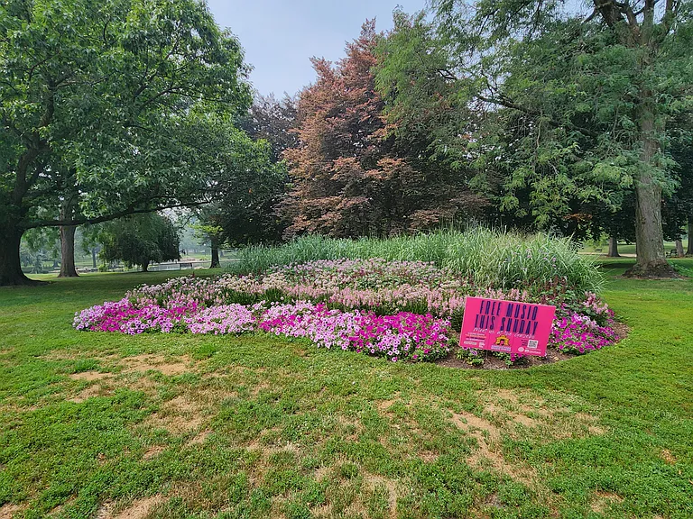 52 Buttles Ave #52 — Photo 15