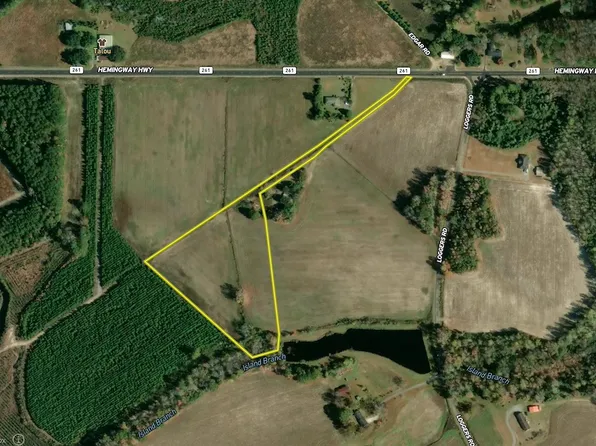 Hemingway Hwy Lot Wp008, Hemingway, SC 29554