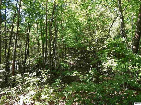 5th image of 53 Pea Hollow Rd