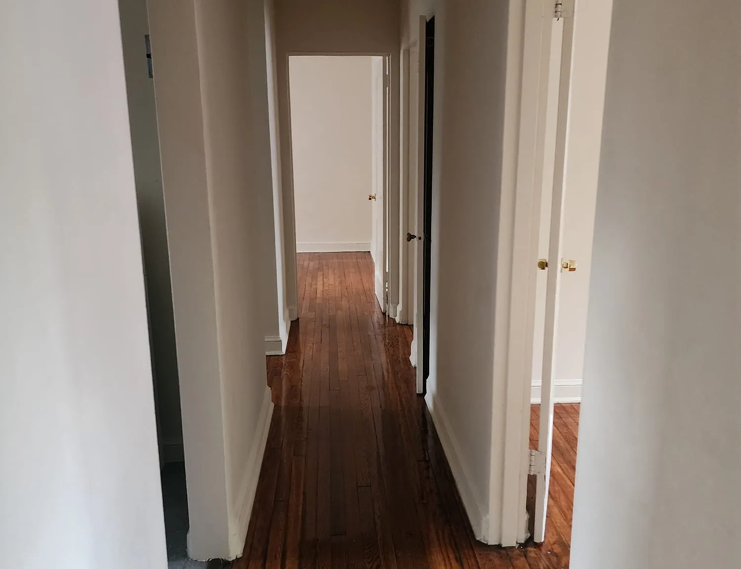 3 bed, 800 sqft, $1,695 — Photo 1