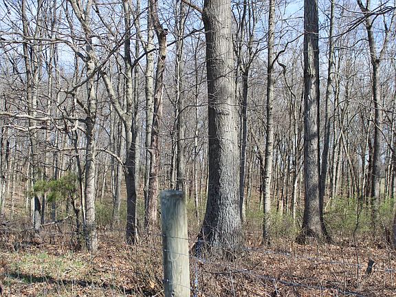 4th image of 1474 Poindexter Rd