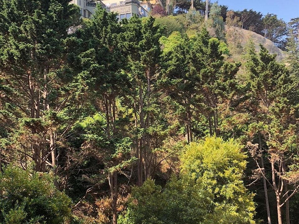 1st image of 101 Lombard St APT 411W