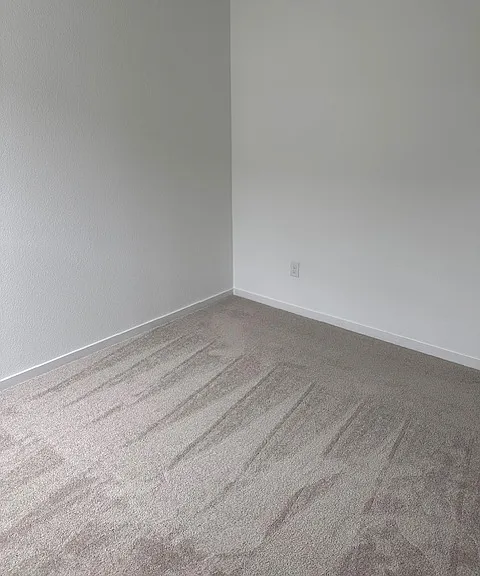 917 Grebe Dr — Photo 12