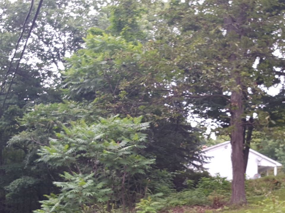 2nd image of 260 Hinds Rd