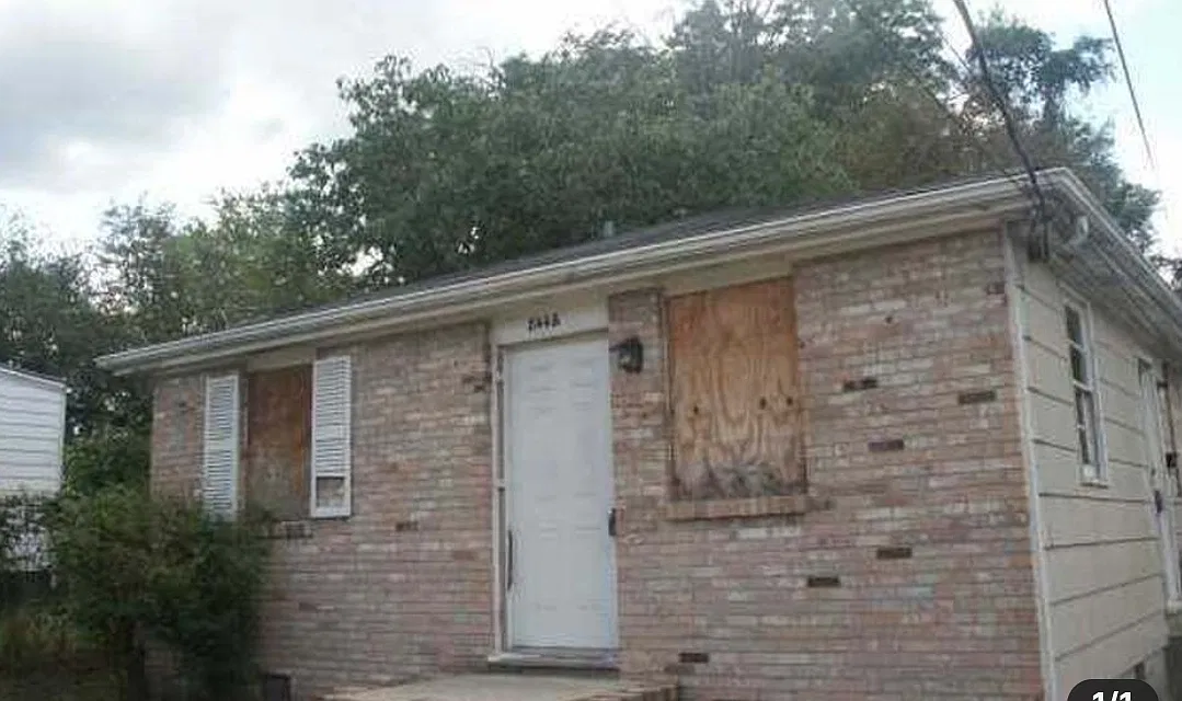 2 bed, 1.5 bath, 648 sqft, $1,250 — Photo 2