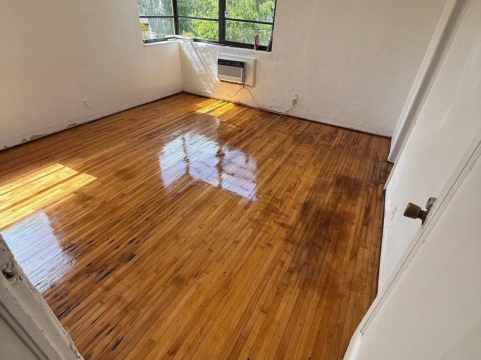 1 bed, 800 sqft, $1,800 — Photo 1