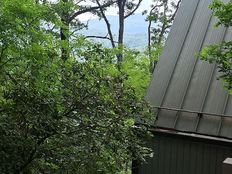 204 Vz Top Rd #204 — Photo 23