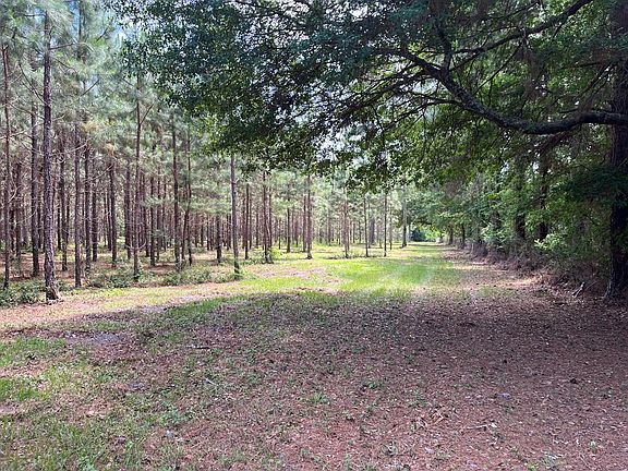 00 Whiddon Mill Rd, Tifton, GA 31794 | MLS #135128 | Zillow