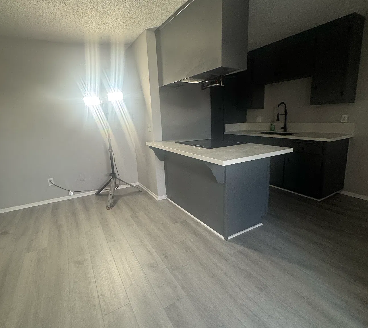 1 bed, 450 sqft, $2,100 — Photo 4