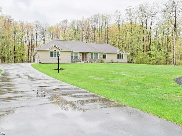 11910 Wellesley Ln, Chardon, OH 44024