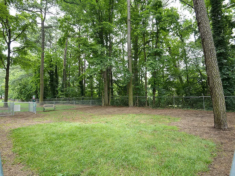 Plenty of space for your dog to run