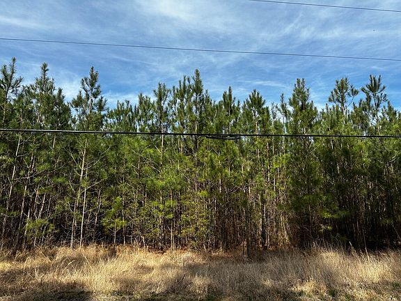View of the parcel from Callis Field Lane.