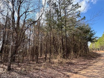 Pilot Grove Loop, Ozark, AR, 72949