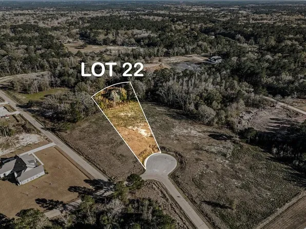 12576 Goldentop Dr, Covington, LA 70433