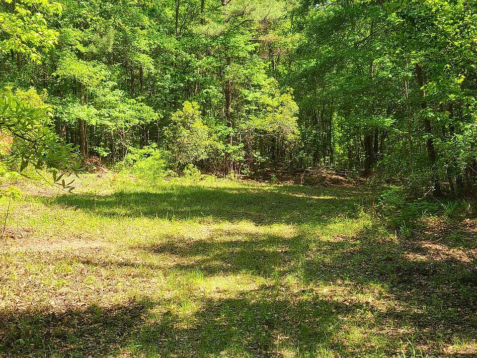 323 White Springs Church Rd, Dry Branch, GA 31020 MLS 10149833 Zillow