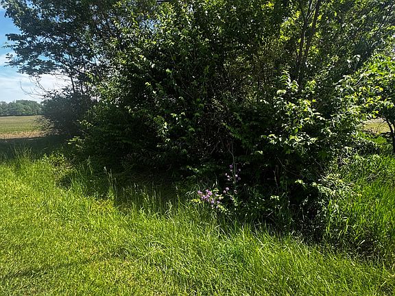 3rd image of 0 Brown Rd