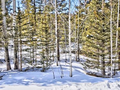 916 E Longbow Dr, Como, CO, 80456