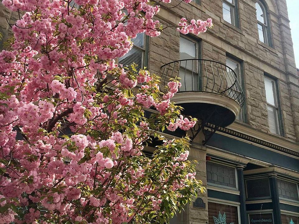 Exterior, 175 Walnut St. Apts.