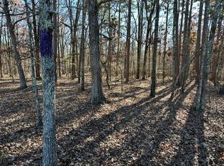 000 Highway H, Ellsinor, MO 63937