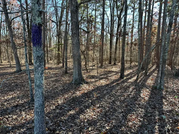 000 Highway H, Ellsinor, MO 63937