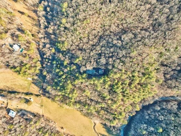 138 Lucius Ln, Cherry Log, GA 30522