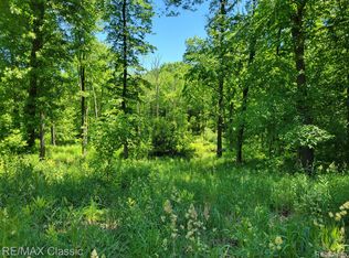 Vac A Pepper Rd, Holly, MI 48442