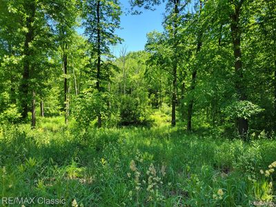 Vac A Pepper Rd, Holly, MI, 48442