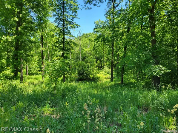 Vac A Pepper Rd, Holly, MI 48442