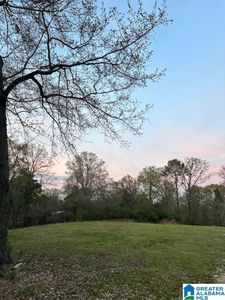 91 Highway 453 #1, Sterrett, AL, 35147