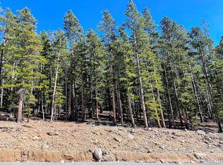 0 Fall River Rd, Idaho Springs, CO 80452