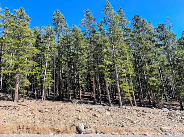 0 Fall River Road, Idaho Springs, CO 80452