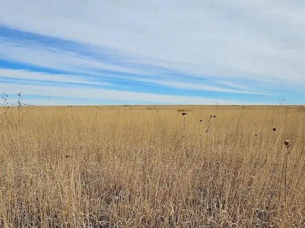 TBD County Road 37, Holly, CO 81047