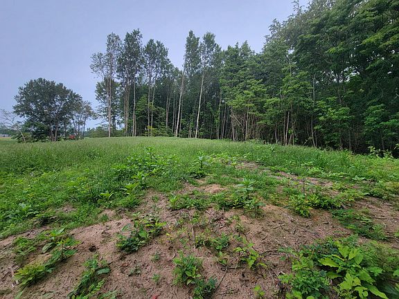 5th image of 4545 Winding Creek Ln