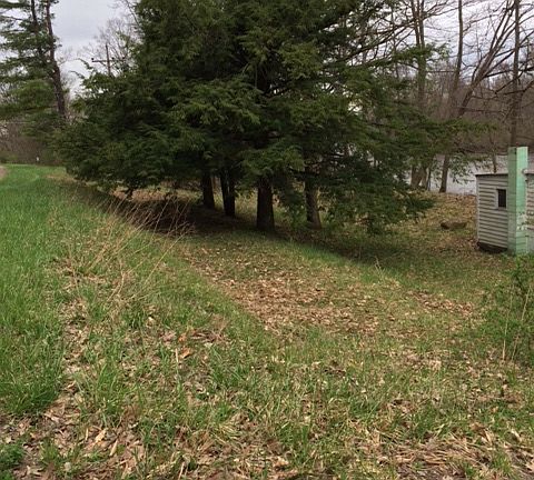 view from driveway along rd