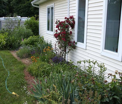 front garden