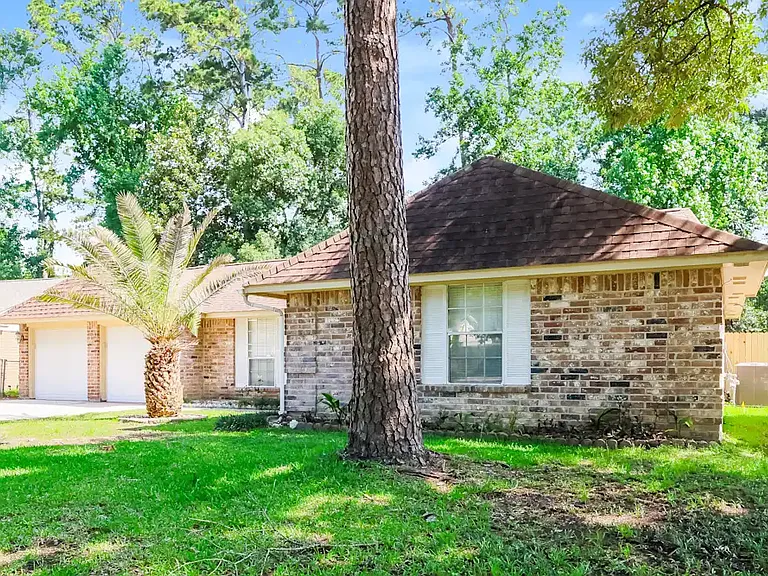 3423 Bristlecone Trl — Photo 9