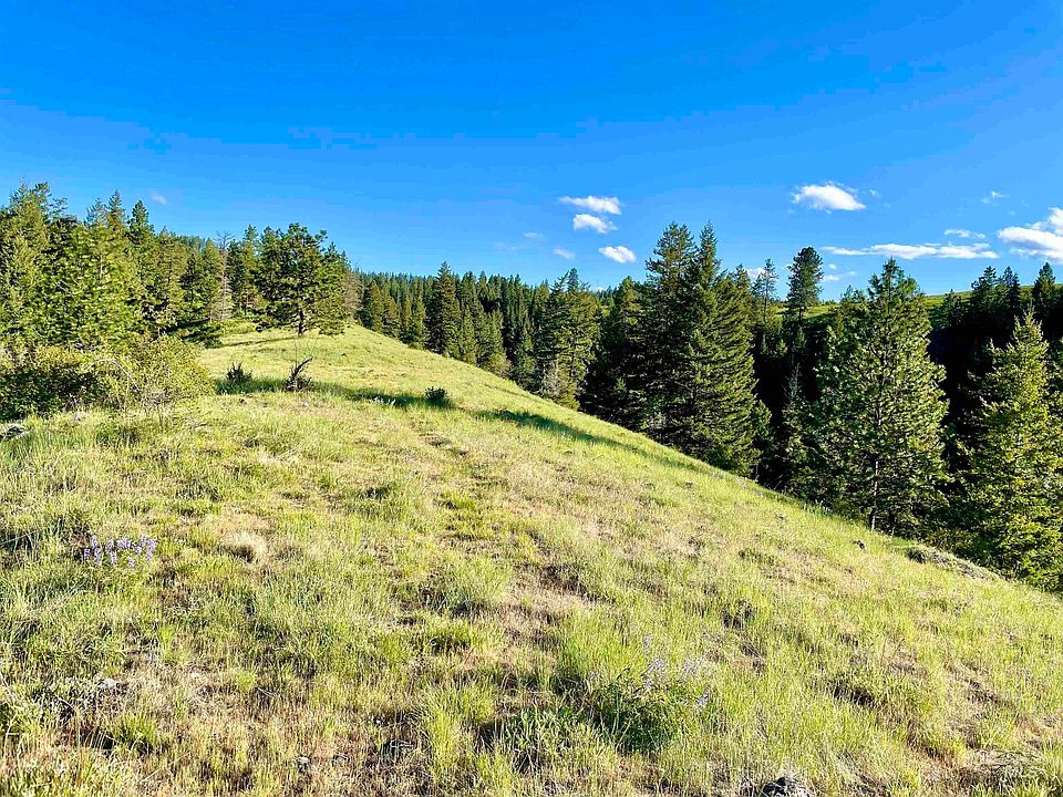 Old White Bird Hill Rd PARCEL A, Grangeville, ID 83530 | MLS #98893762 ...