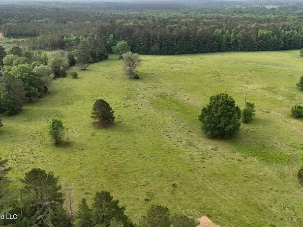 Sulphur Springs Rd Lot 7, Canton, MS 39046