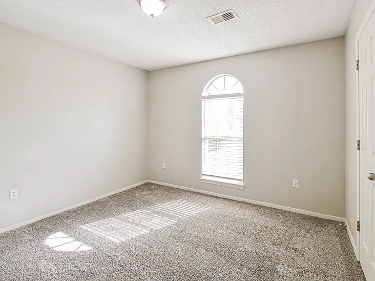 10368 Palmer Cv — Photo 13