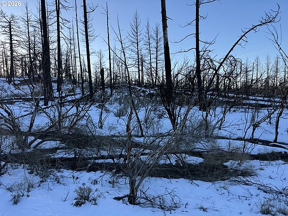 2nd image of Hummingbird Dr #1