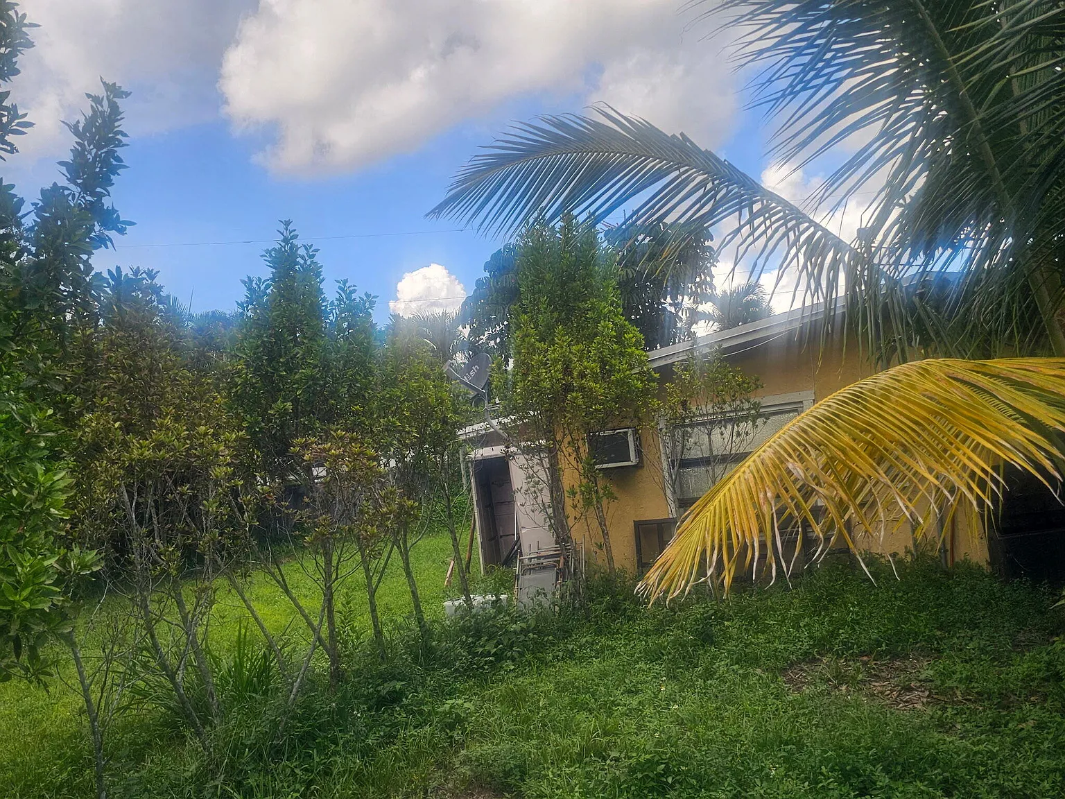 2 bed, 1.0 bath, 501 sqft, $2,250 — Photo 1
