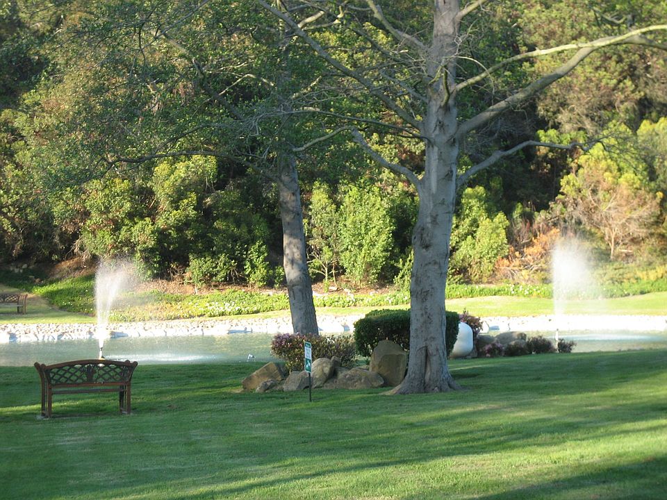 Park