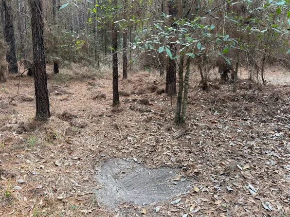 3 County Road 239, New Brockton, AL 36351