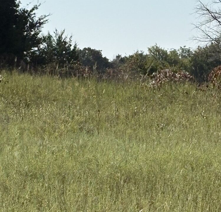 1st image of 0 E 1044th Rd