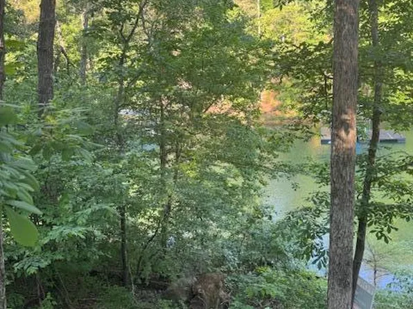Big Bend Godsey Rd, Houston, AL 35572