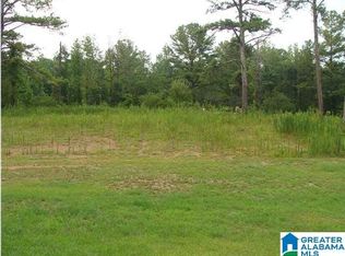 9166 Thermal Rd, Warrior, AL 35180