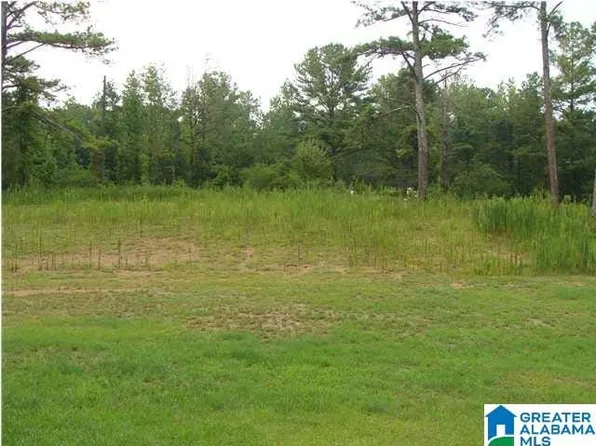 9166 Thermal Rd, Warrior, AL 35180