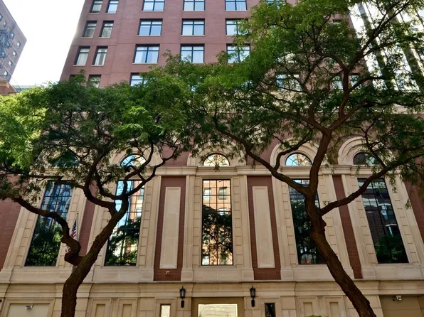 1122 N Dearborn St APT 7A, Chicago, IL 60610