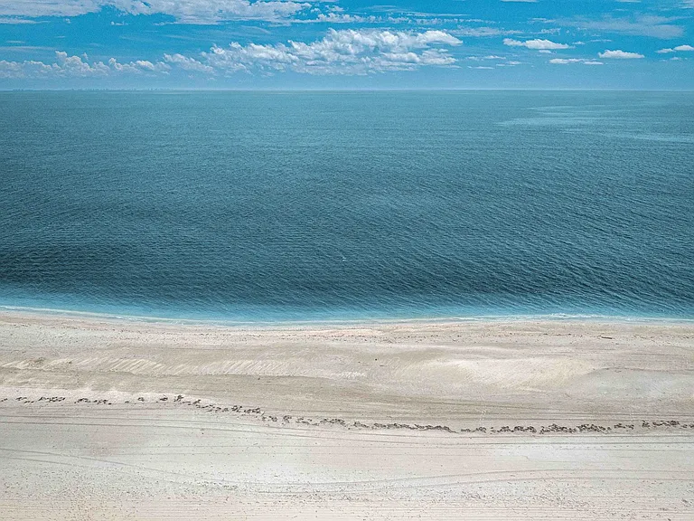 aerial view of the beach